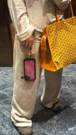 Picture of Goyard Handbags _SKUfw227908987fw
